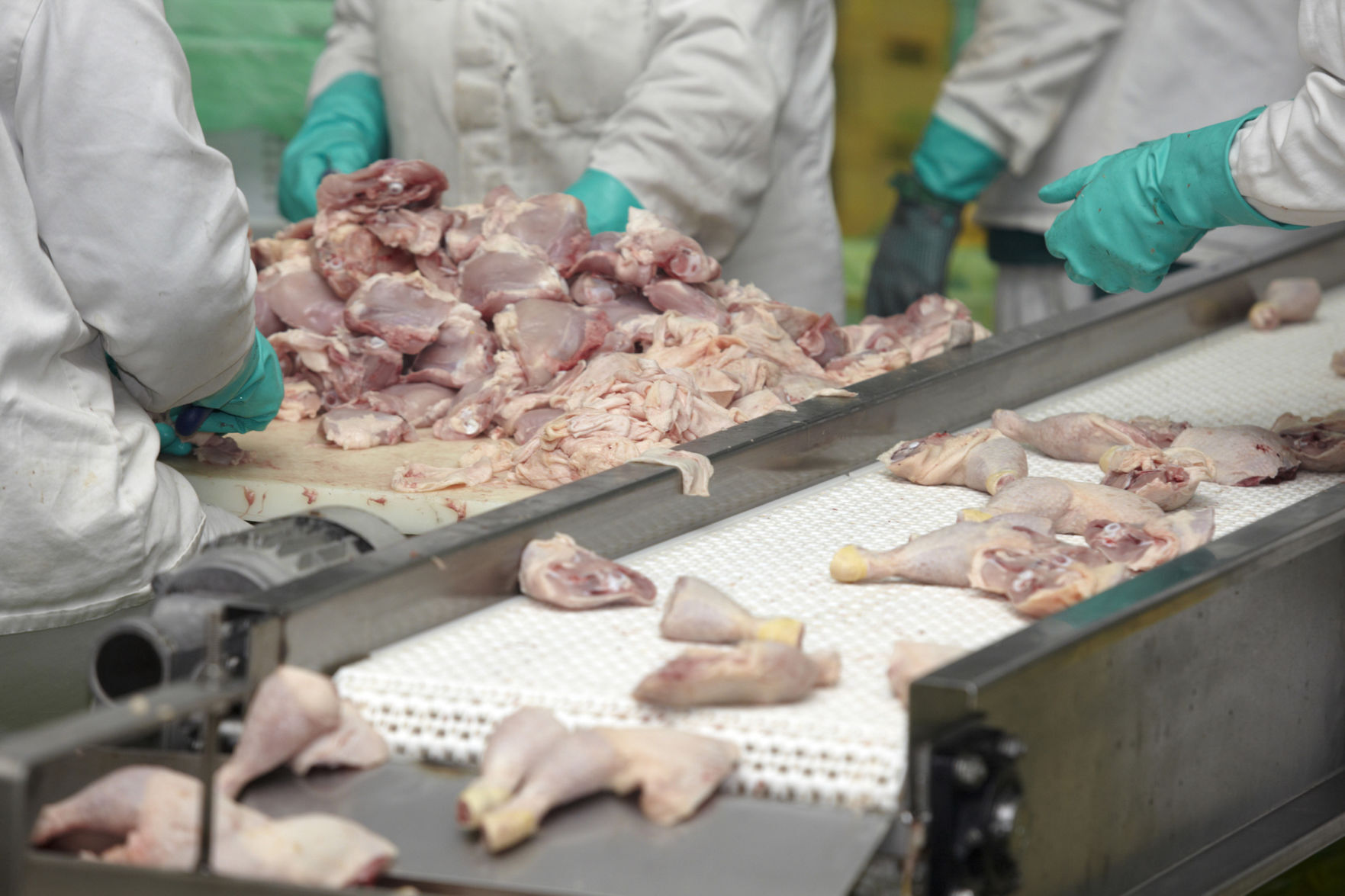 Are there laws to force food producers to better handle and avoid contaminating foods?